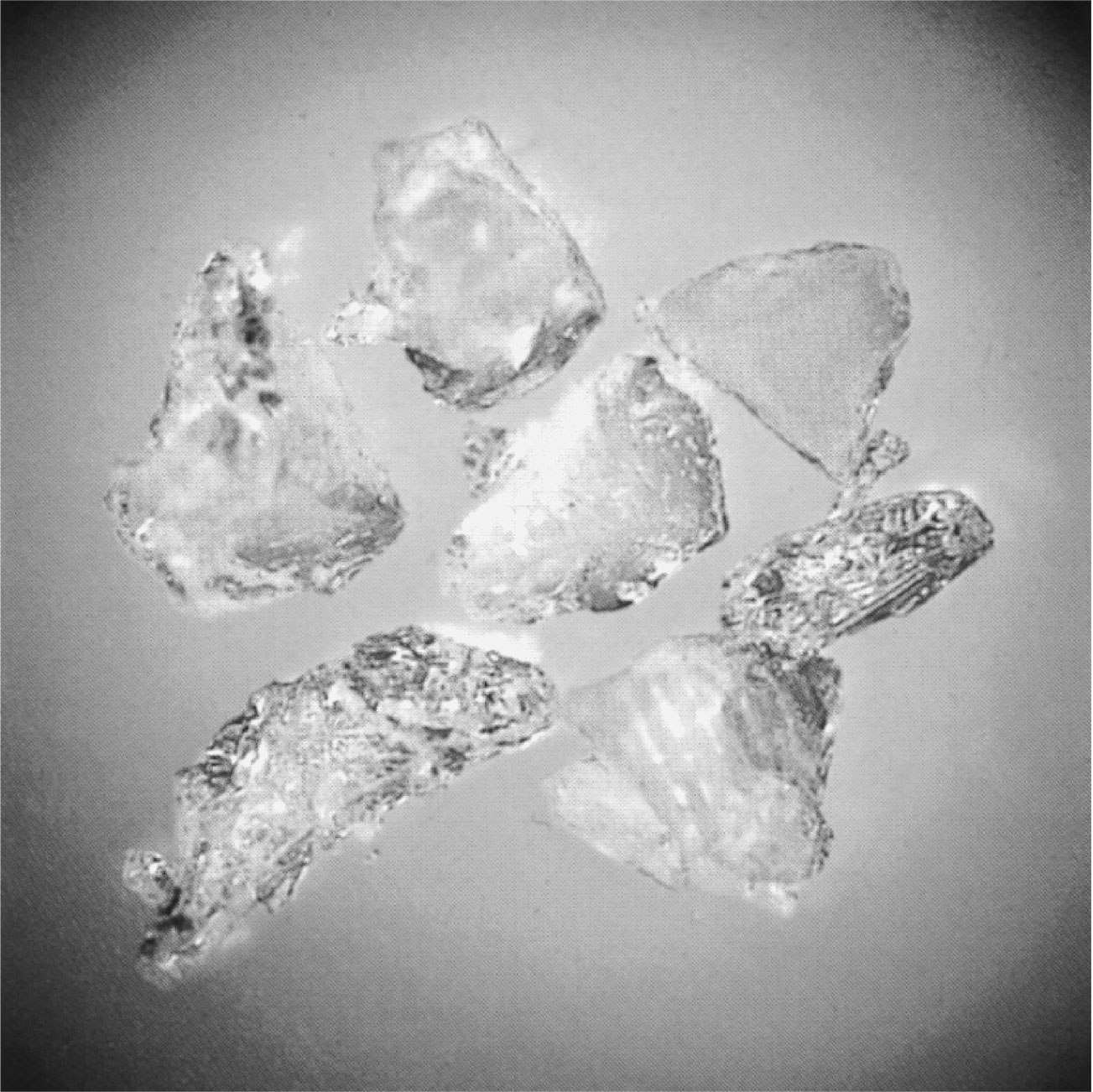 Photograph of PAS crystal