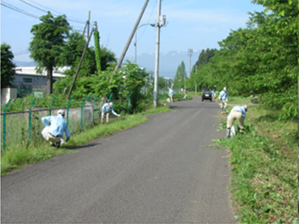 Arakawa river cleanup campaign