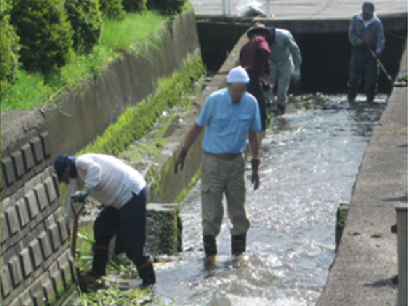 Volunteer work cleaning a waterway in the local Sakura district