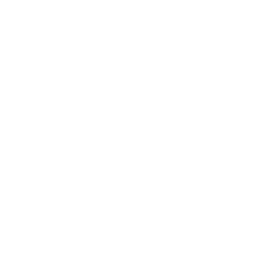 Only 1 No. 1の技術