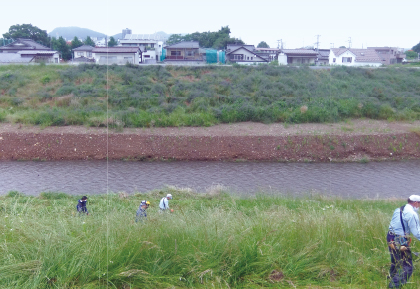大森川堤防除草作業